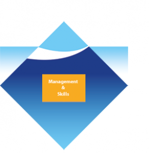 management-skills